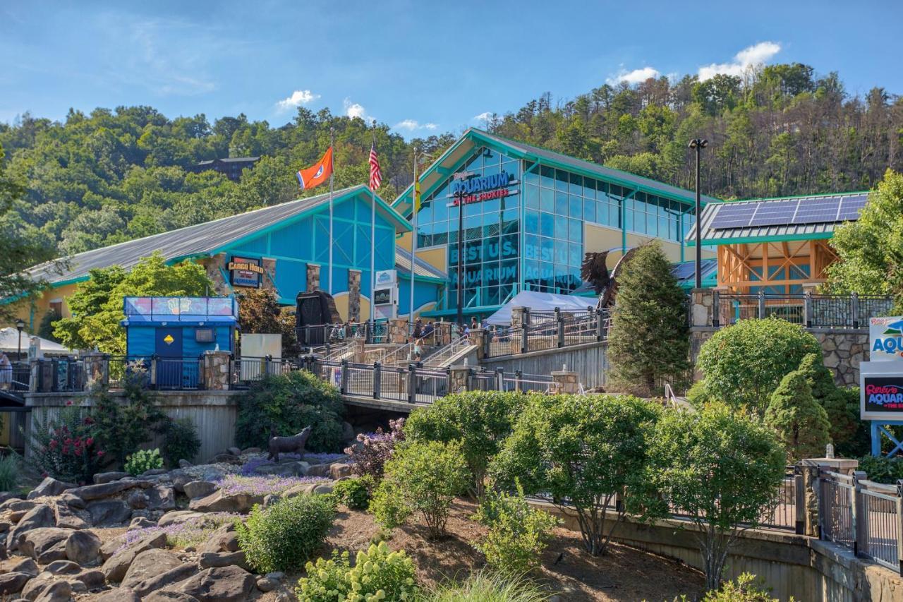 5Bd5B Escape Cabin With 2 Hottubs, Thtr &Game Rm,1Mi To The Parkway! 4Mi To Dollywood - Spring Deal Pigeon Forge Luaran gambar